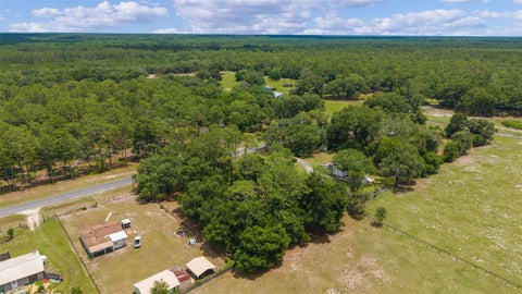 Tiny photo for 13820 NE 150 Avenue, Fort Mccoy, FL 32134 (MLS # OM725431)