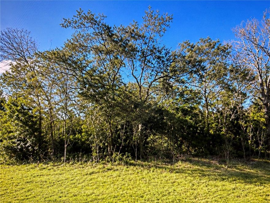 Positioned in the expanding community of Marion Oaks, this 0.24-acre vacant lot offers a great opportunity to secure land in a steadily developing area of Ocala. Situated on a paved road with no HOA or CDD fees, this property provides flexibility whether you're planning to build now or hold as an investment.

Surrounded by new construction and established homes, the area continues to grow while still maintaining a quiet, residential feel. The lot features a natural wooded setting, giving you the option to clear to your preference and design a home that fits your vision.

Conveniently located with easy access to major roadways, shopping, dining, and everyday essentials, while still offering a sense of space and privacy.

Whether you're looking to build your future home or add to your land portfolio, this property presents a solid opportunity in a developing part of Marion County.