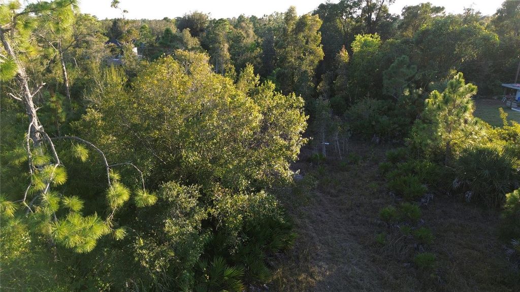 Photo of 27481 Senator Drive, Punta Gorda, FL 33955 (MLS # C7519421)