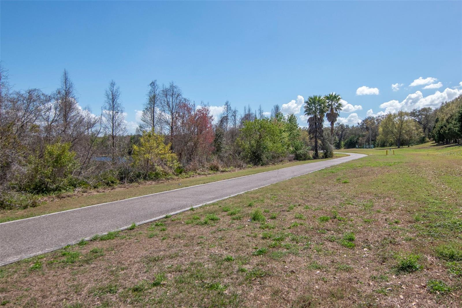 BRIGADOON OF CLEARWATER - Residential