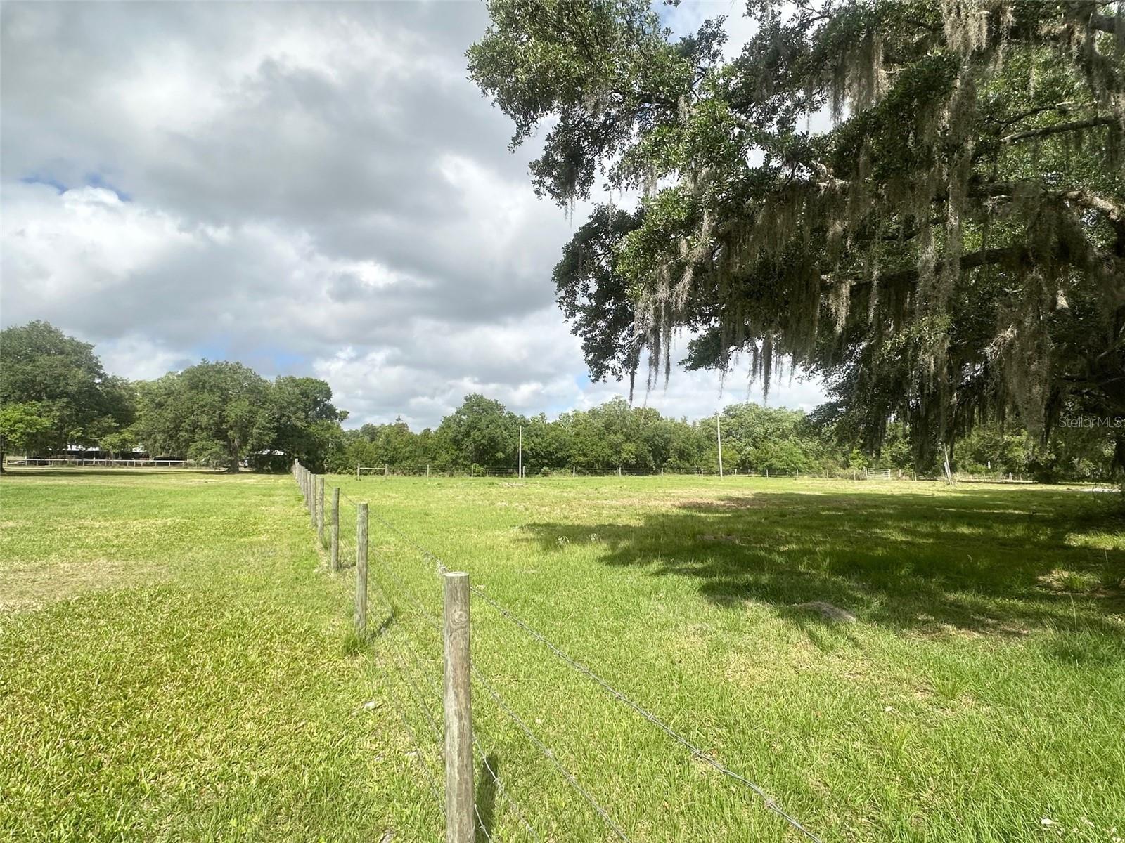 ARCADIA - Residential