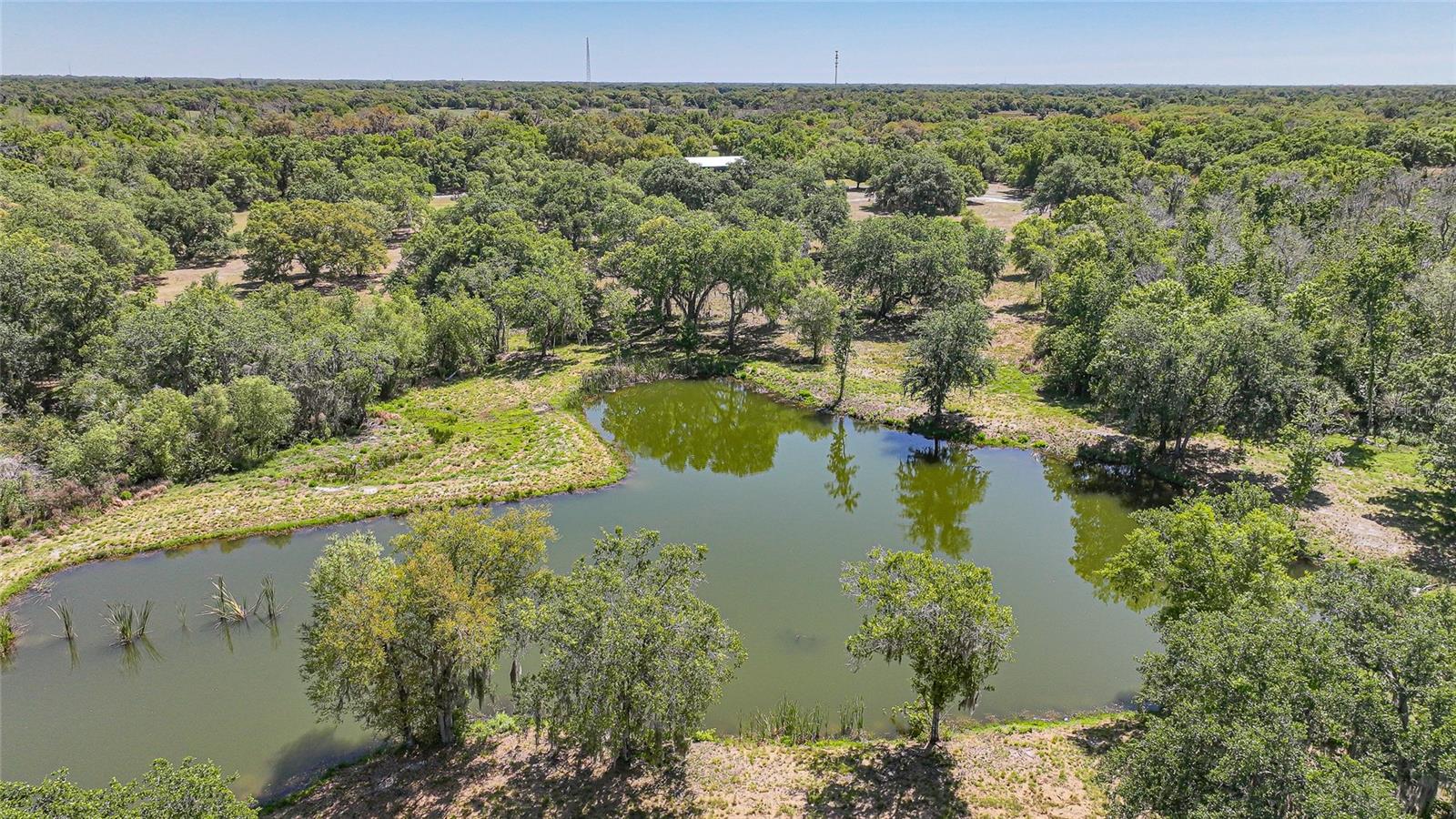 ARCADIA - Residential