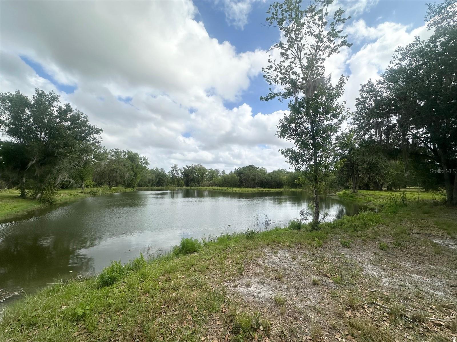 ARCADIA - Residential