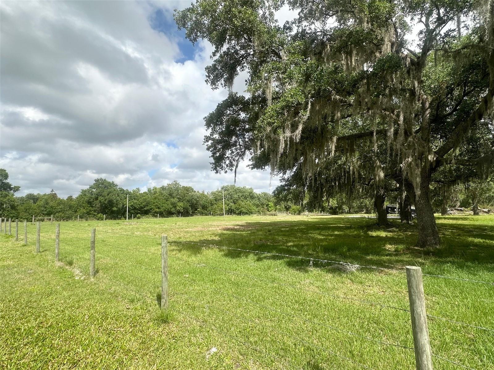 ARCADIA - Residential