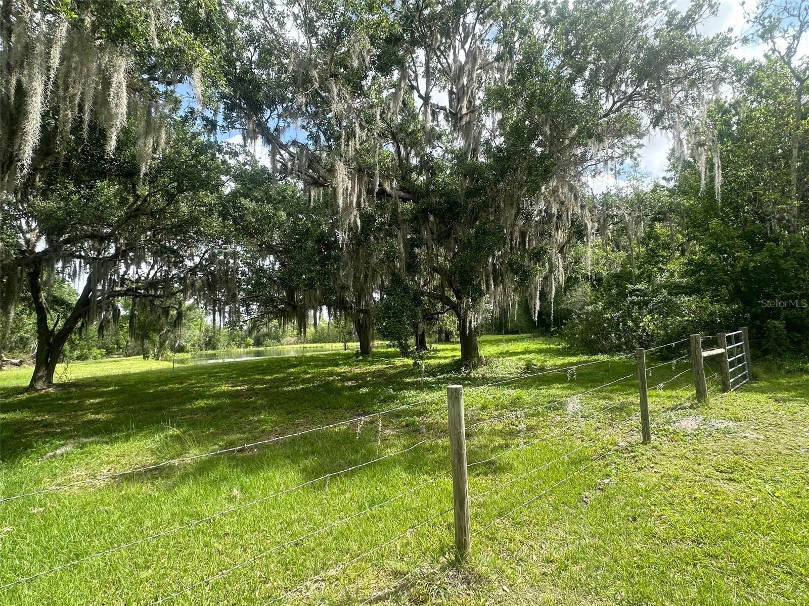 ARCADIA - Residential