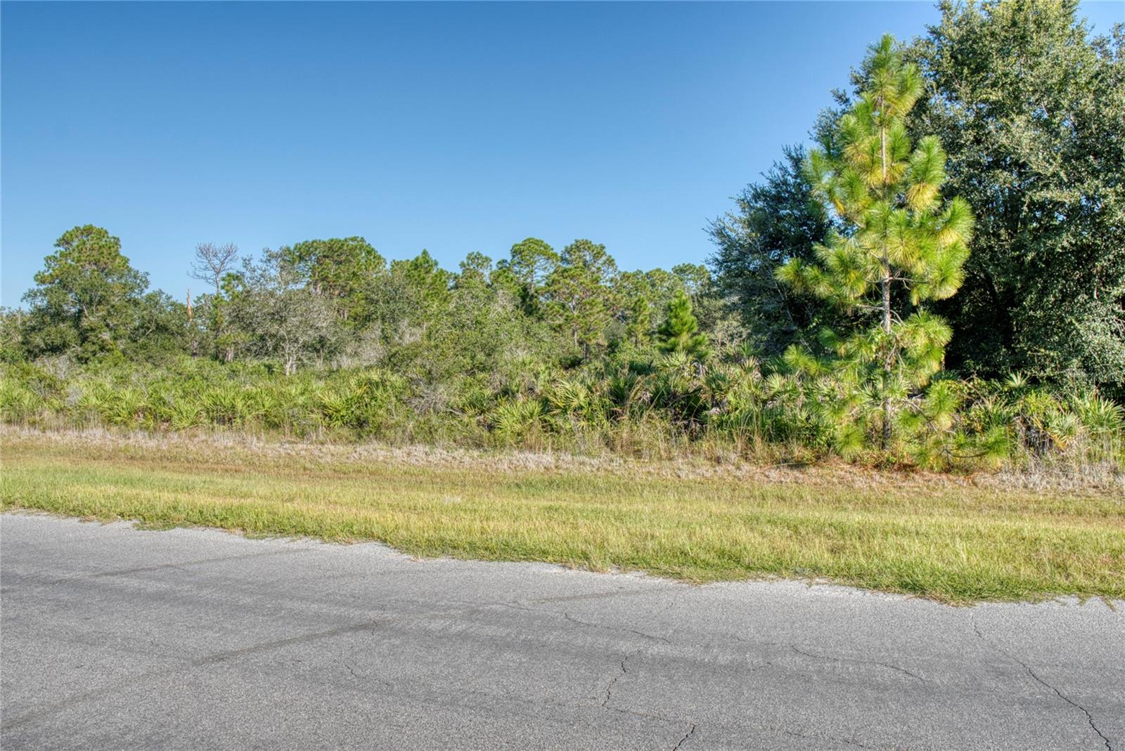 You're looking at a fantastic opportunity to build your dream home on a spacious 1.5-acre lot right here in the wonderful Wedgefield community!  Forget cramped city lots—this is your chance to enjoy peaceful living with plenty of room to spread out.   Wedgefield is a growing gem that offers the best of both worlds. You'll be close to new schools, and beautiful parks. You'll also love the easy access to camping, hiking, and fishing.  This is a rare find—don't miss out on creating your perfect custom sanctuary in a community you'll love.