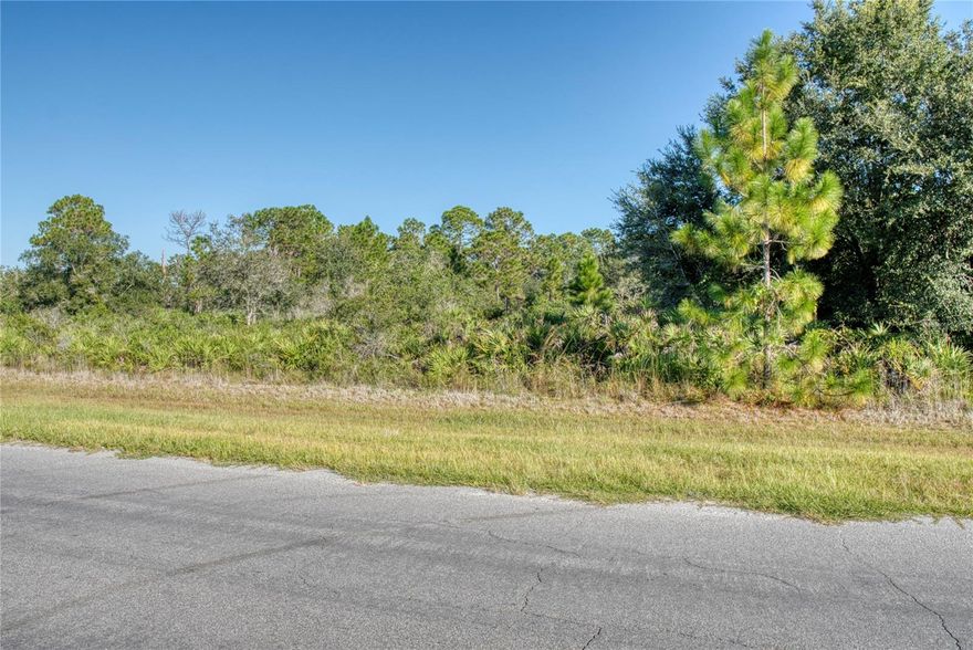You're looking at a fantastic opportunity to build your dream home on a spacious 1.5-acre lot right here in the wonderful Wedgefield community!  Forget cramped city lots—this is your chance to enjoy peaceful living with plenty of room to spread out.   Wedgefield is a growing gem that offers the best of both worlds. You'll be close to new schools, and beautiful parks. You'll also love the easy access to camping, hiking, and fishing.  This is a rare find—don't miss out on creating your perfect custom sanctuary in a community you'll love.