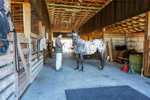 Tiny photo for 17885 NE 2nd Place, Williston, FL 32696 (MLS # OM715392)