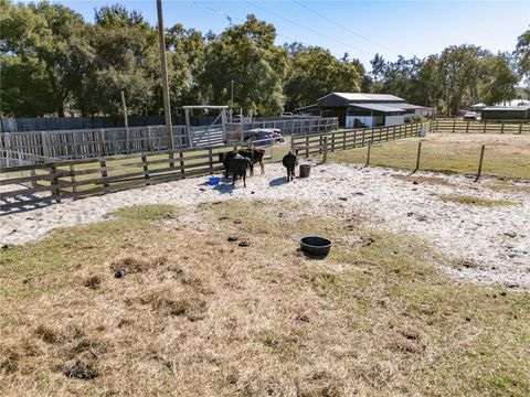 Tiny photo for 17885 NE 2nd Place, Williston, FL 32696 (MLS # OM715392)