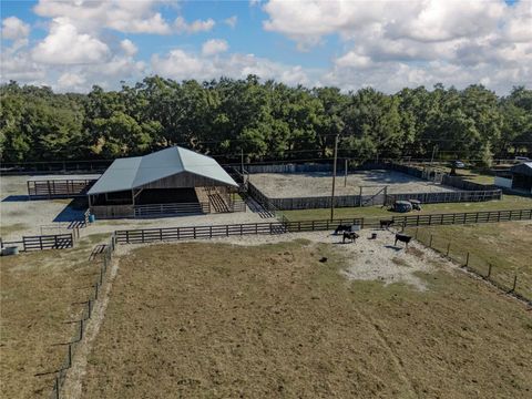 Tiny photo for 17885 NE 2nd Place, Williston, FL 32696 (MLS # OM715392)