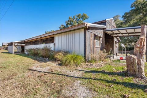 Tiny photo for 17885 NE 2nd Place, Williston, FL 32696 (MLS # OM715392)