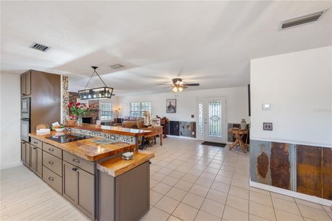 Tiny photo for 17885 NE 2nd Place, Williston, FL 32696 (MLS # OM715392)