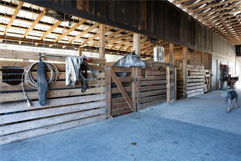 Tiny photo for 17885 NE 2nd Place, Williston, FL 32696 (MLS # OM715392)