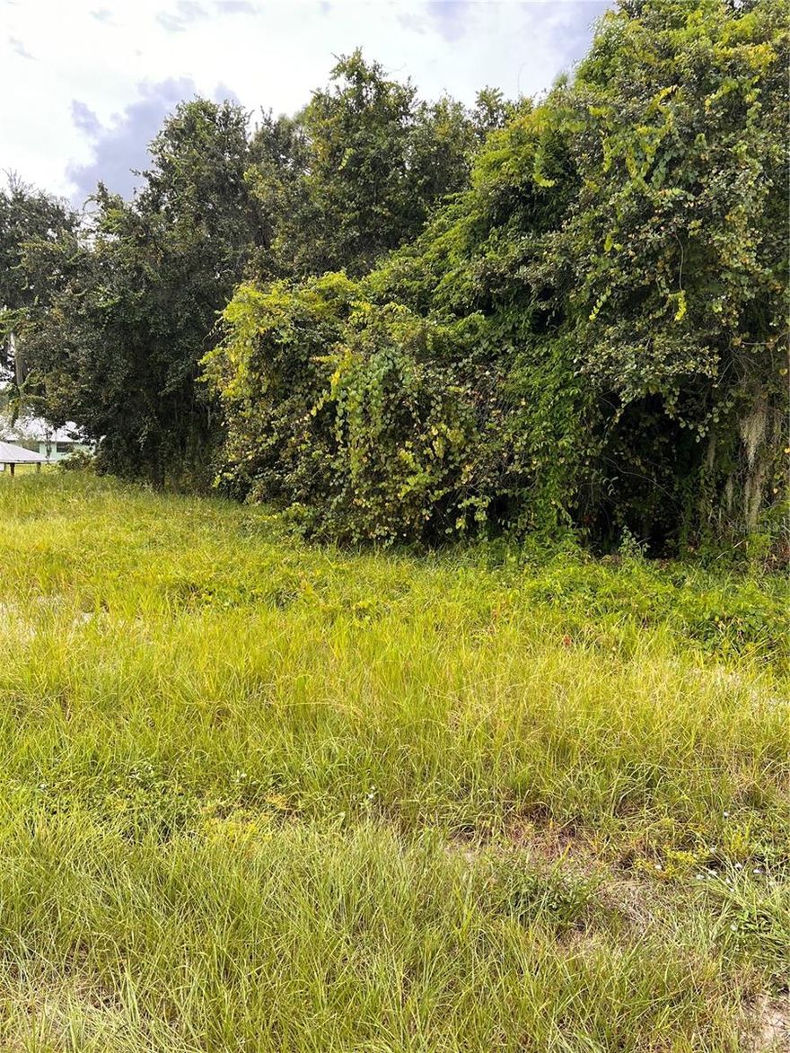 Build your dream home or vacation retreat on this beautiful vacant lot in Lake Placid, Florida – with exclusive access to the lake! Enjoy peaceful mornings, kayaking, fishing, or boating just steps from your future doorstep.Call today