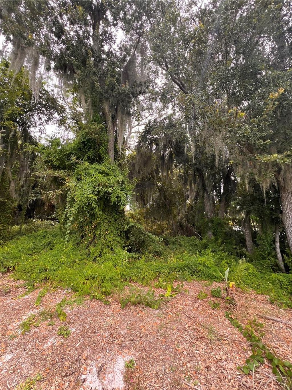 Photo of 112 Happiness Avenue, Lake Placid, FL 33852 (MLS # O6342363)