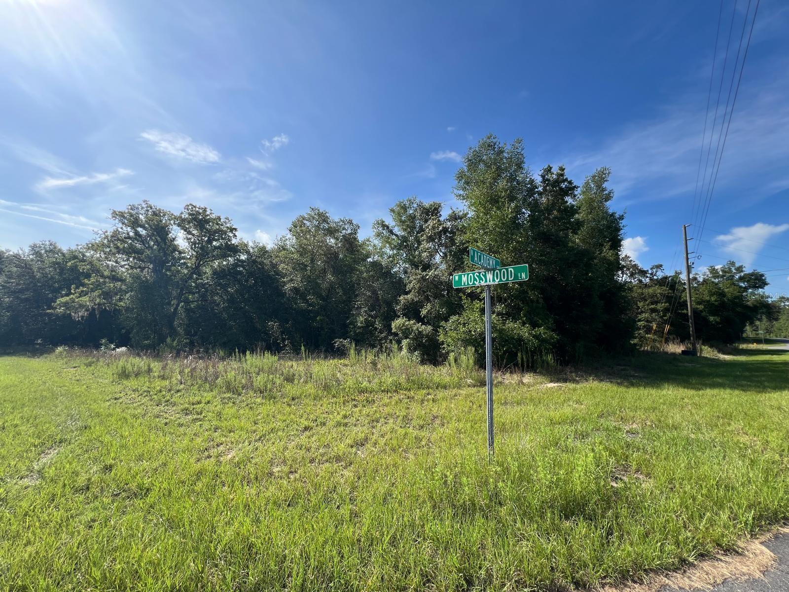 Build Your Florida Dream! Welcome to 1425 W Mosswood Ln. — a prime .30-acre vacant lot nestled in the growing community of Citrus Springs. This beautiful residential parcel offers a peaceful, wooded setting with paved road access, no HOA, and public water available. Whether you’re looking to build your forever home or invest in the future, this lot is ideal with nearby schools, shopping, medical facilities, and recreational opportunities including golf courses, parks, and the Withlacoochee State Trail. Conveniently located just a short drive from Dunnellon, Crystal River, and Ocala. Enjoy the real Florida Life Style with pristine natural springs, rivers and the Gulf Coast beaches and sunsets. Grab your boats, kayaks, paddle boards and fishing gear, or just your hiking boots or bathing suit to enjoy endless recreation opportunities. No flood zone. No time limit to build. Don't miss this opportunity to own a piece of Florida's Nature Coast!