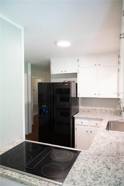 Tiny photo for 17836 Palm Street, Umatilla, FL 32784 (MLS # O6453025)