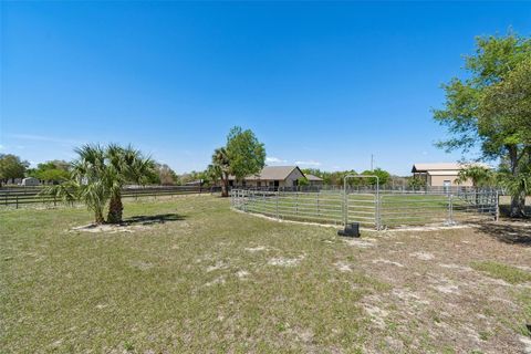 Tiny photo for 21210 Horse Ranch Rd, Mount Dora, FL 32757 (MLS # G5109273)