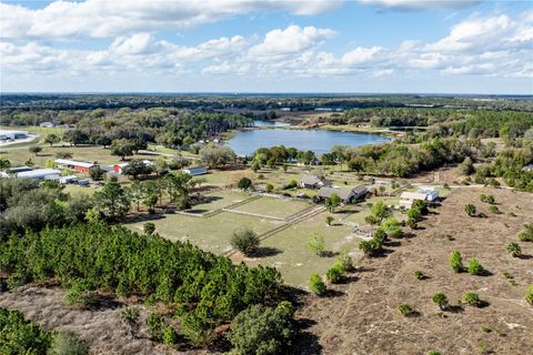 Tiny photo for 21210 Horse Ranch Rd, Mount Dora, FL 32757 (MLS # G5109273)