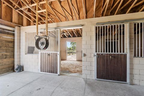 Tiny photo for 21210 Horse Ranch Rd, Mount Dora, FL 32757 (MLS # G5109273)