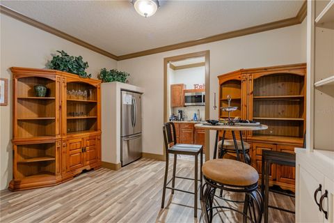 Tiny photo for 21210 Horse Ranch Rd, Mount Dora, FL 32757 (MLS # G5109273)