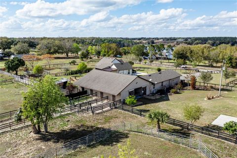 Tiny photo for 21210 Horse Ranch Rd, Mount Dora, FL 32757 (MLS # G5109273)