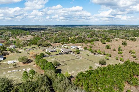 Tiny photo for 21210 Horse Ranch Rd, Mount Dora, FL 32757 (MLS # G5109273)