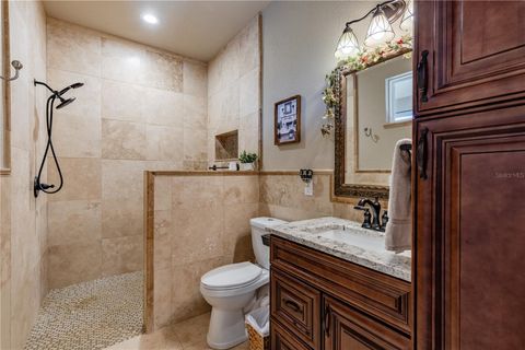 Tiny photo for 21210 Horse Ranch Rd, Mount Dora, FL 32757 (MLS # G5109273)