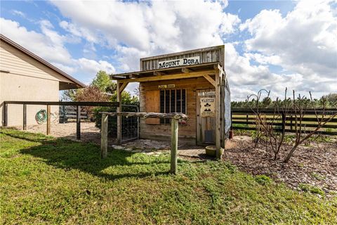 Tiny photo for 21210 Horse Ranch Rd, Mount Dora, FL 32757 (MLS # G5109273)