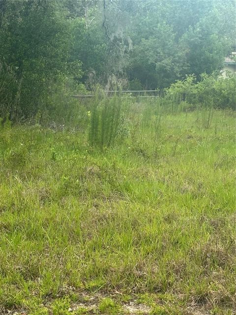 Tiny photo for 18890 SW 44th Street, Dunnellon, FL 34432 (MLS # OM725952)