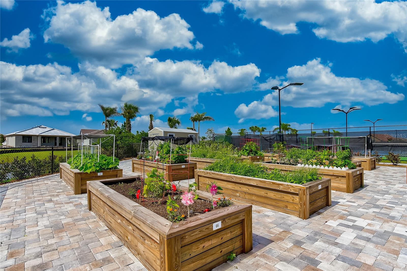 ISLANDWALK AT THE WEST VILLAGES - Residential