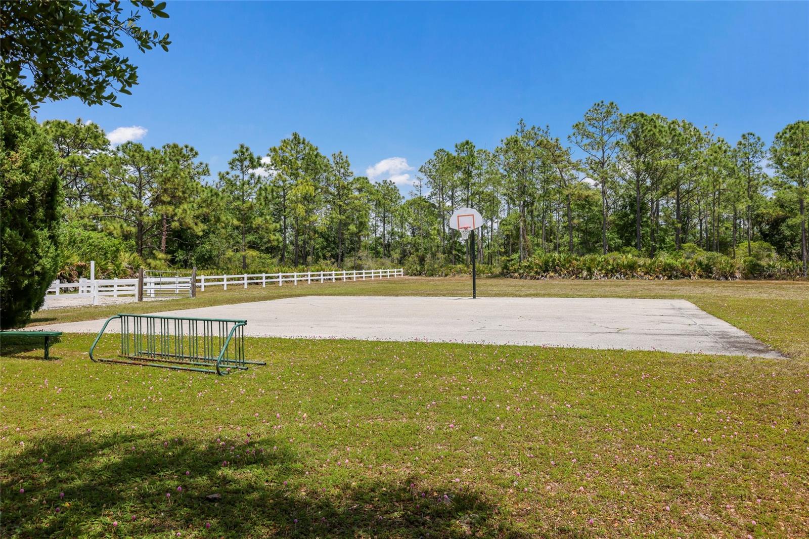 PRESERVE AT PANTHER RIDGE PH I - Residential