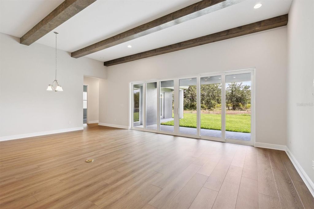 Photo of 14523 Swiss Bridge Drive, Lithia, FL 33547 (MLS # TB8396250)