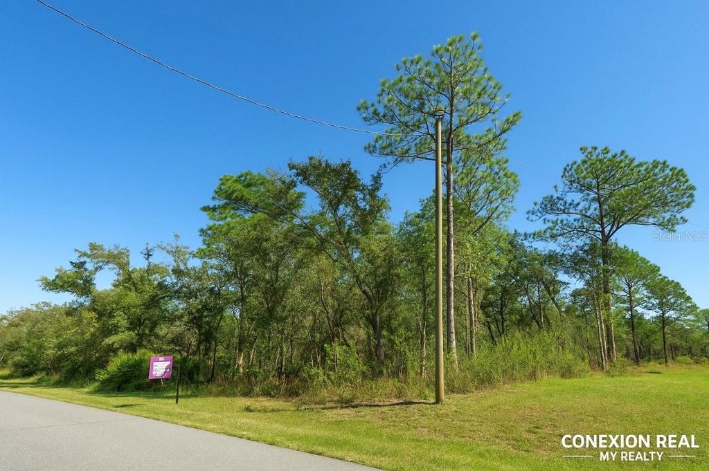 Photo of 12036 Limpkin Rd, Weeki Wachee, FL 34614 (MLS # TB8437006)