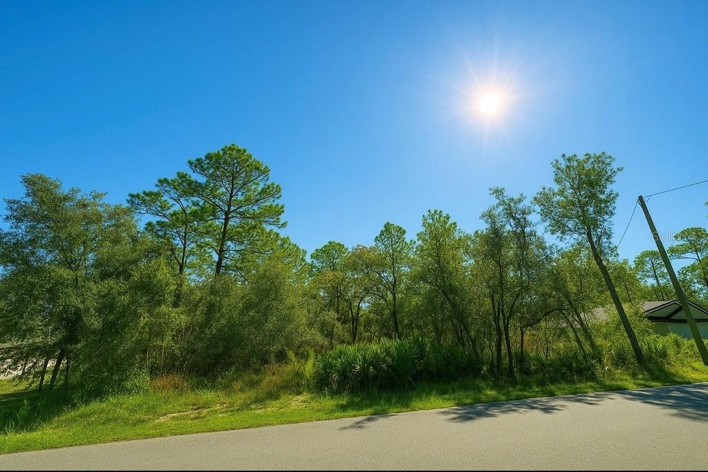 Photo of 12036 Limpkin Rd, Weeki Wachee, FL 34614 (MLS # TB8437006)