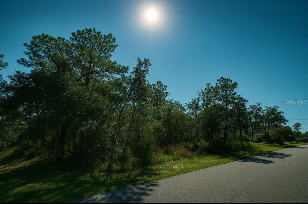 Photo of 12036 Limpkin Rd, Weeki Wachee, FL 34614 (MLS # TB8437006)