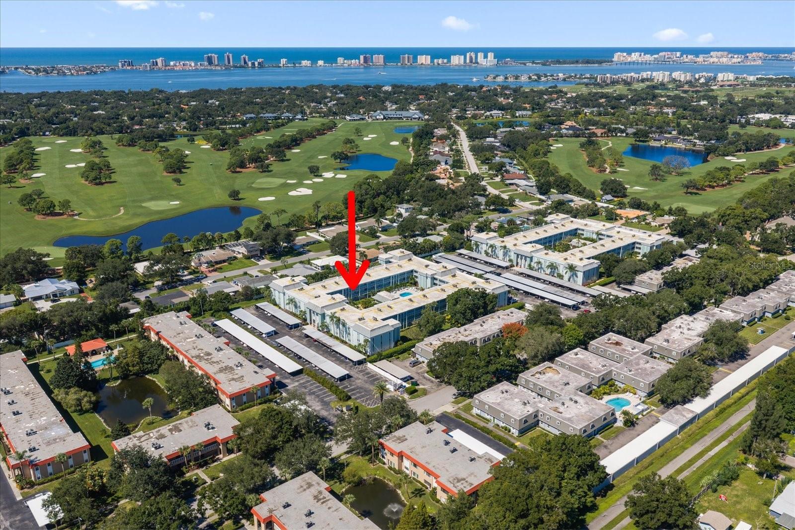 1706 BELLEAIR FOREST DRIVE 238