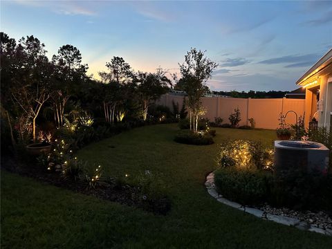 A home in ZEPHYRHILLS