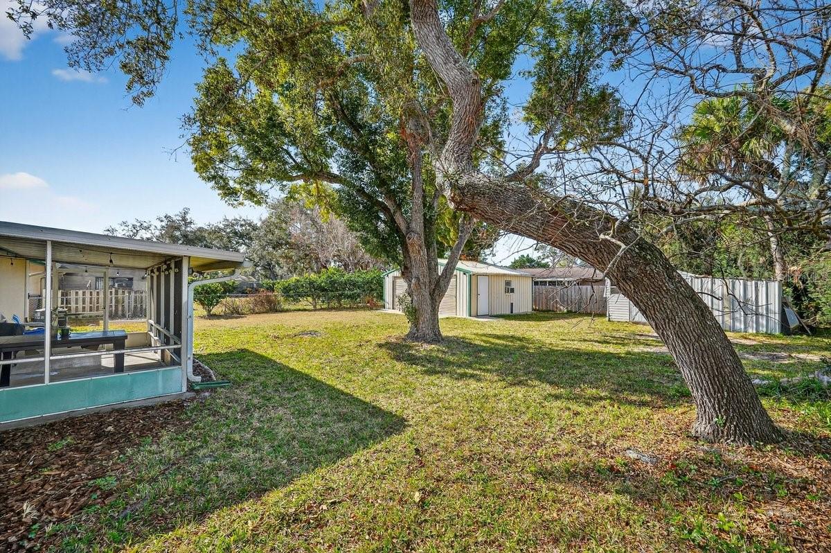 TURNBULL SHORES LTS 01-99 INC - Residential