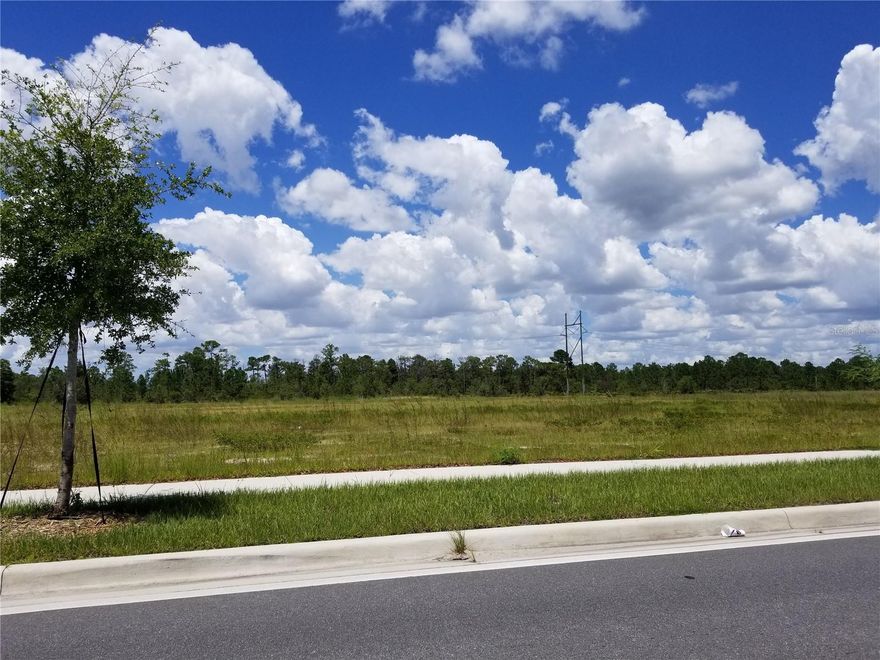 Vacant Land assemblage of up to 80+ acres within 5 miles of Disney. Near major roadways, restaurants and shopping. Currently no road access! Great opportunity for multi unit development along with a small amount of Commercial retail. Call to discuss the possibilities. Not many large acre plots left in this area of Orange County.