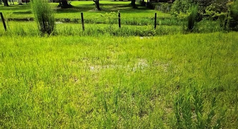 COUNTY ROAD 727 WEBSTER FL 33597
