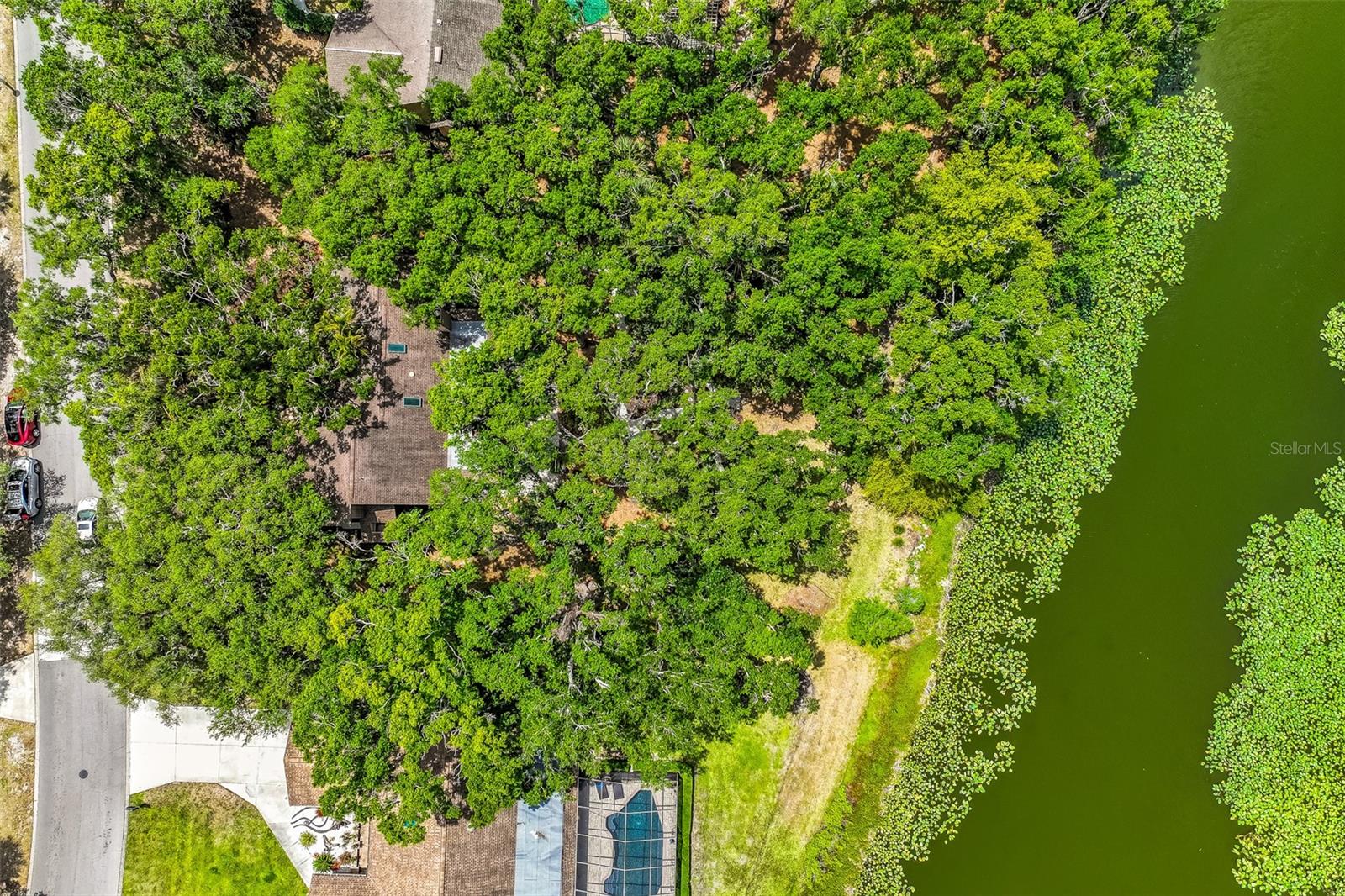 WOODLAND PARK - Residential