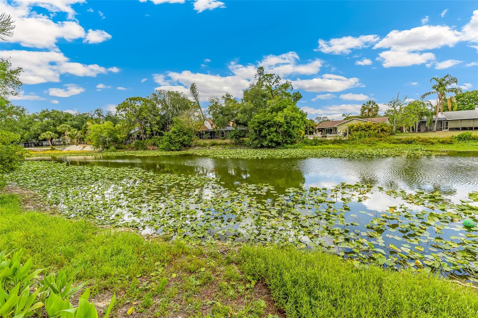 WOODLAND PARK - Residential