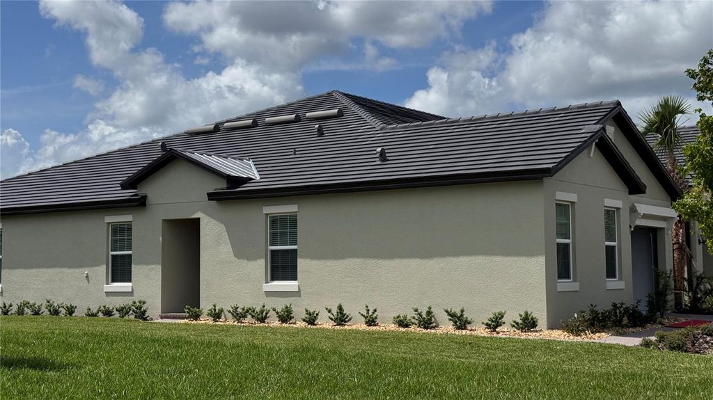 Photo of 10878 Rustic Eve Court, Land O Lakes, FL 34638 (MLS # TB8413625)