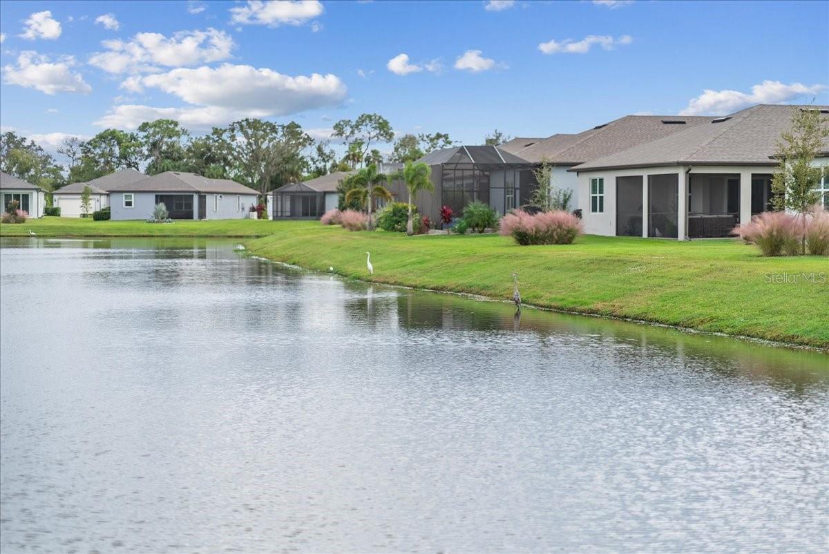 DEL WEBB AT BAYVIEW PH III - Residential