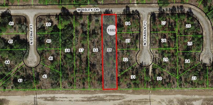 Photo of 1407 W Belen Drive, Citrus Springs, FL 34434 (MLS # OM734291)