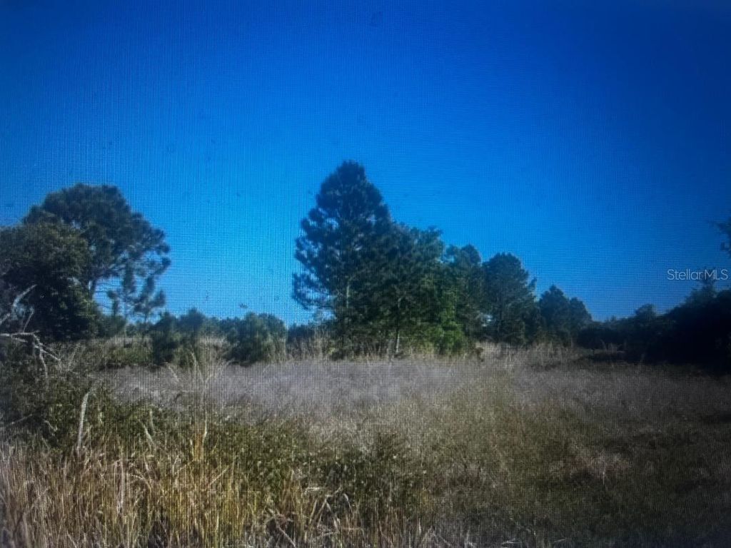 Photo of 733 N Tarry Lane, Lorida, FL 33857 (MLS # OM724122)