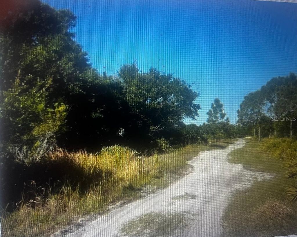 Photo of 733 N Tarry Lane, Lorida, FL 33857 (MLS # OM724122)