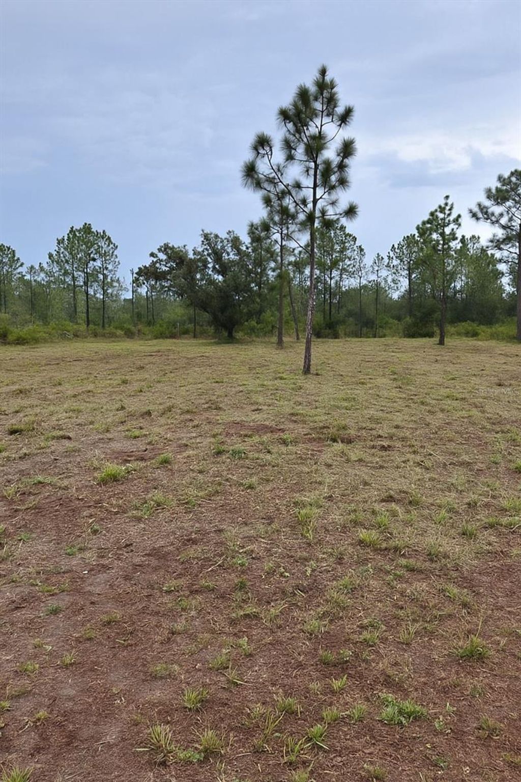 Photo of 1108 Palm Avenue, Indian Lake Estates, FL 33855 (MLS # C7514094)