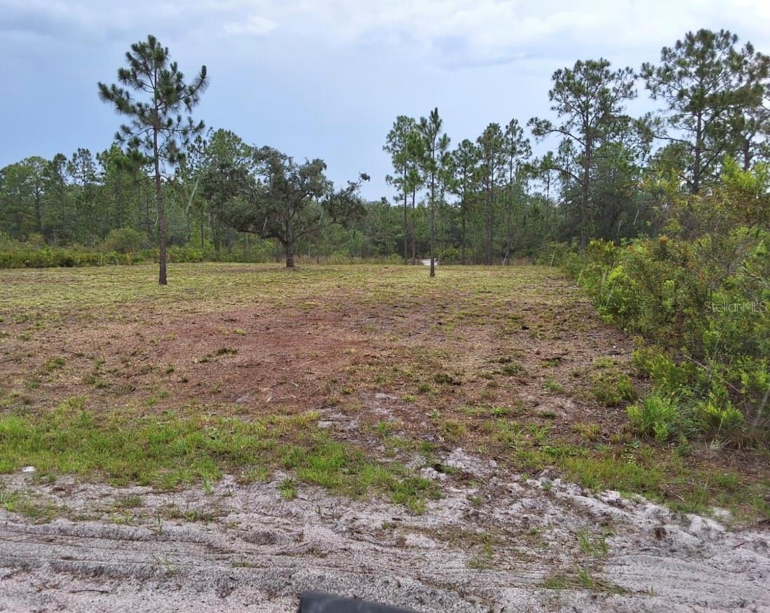 INDIAN LAKE ESTATES - Land